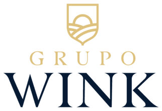 Grupo Wink