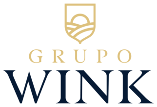 Grupo Wink