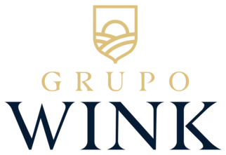 Grupo Wink